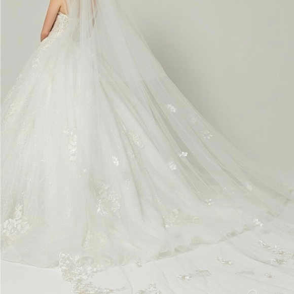 Two-Tier Lace Edge Tulle Chapel Veils With Appliques main image 6